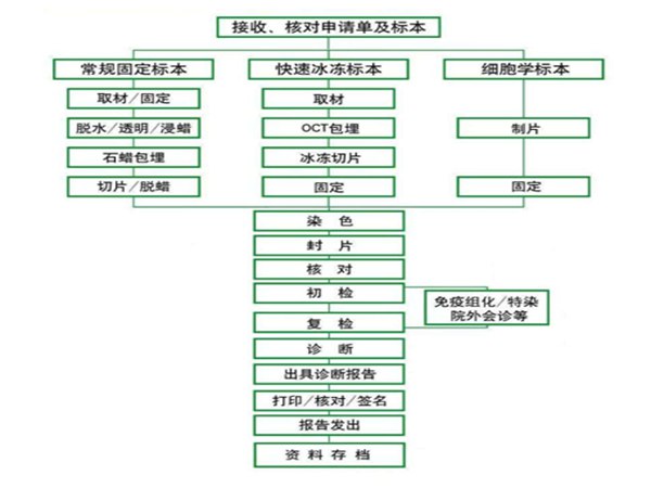 青島長基醫(yī)療器械有限公司